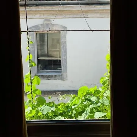 Le Cocon, T3 Centre Ville, Climatisé